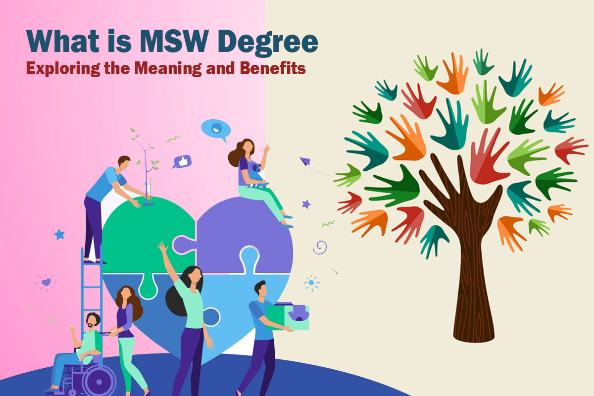 What is MSW Degree